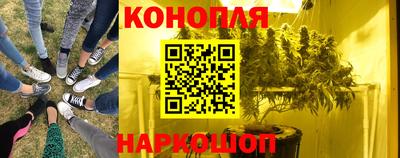 Альфа ПВП Обь