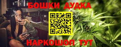 Альфа ПВП Обь