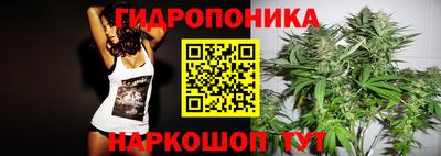 Альфа ПВП Обь