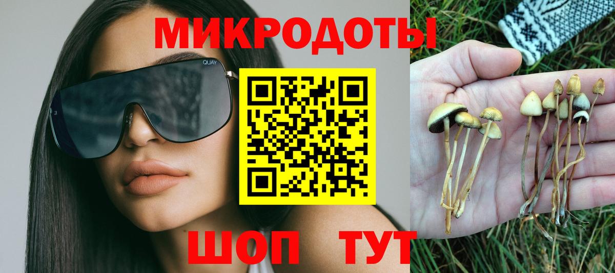 Галлюциногенные грибы Cubensis  Псилоцибиновые грибы Psilocybine cubensis  Новый Уренгой  Вход с VPN 